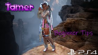 Black Desert Online PS4/PS5 - Tamer Beginner Tips