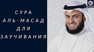 Сура Аль-Масад (Таббат йаа даа), для заучивания, Мишари Рашид