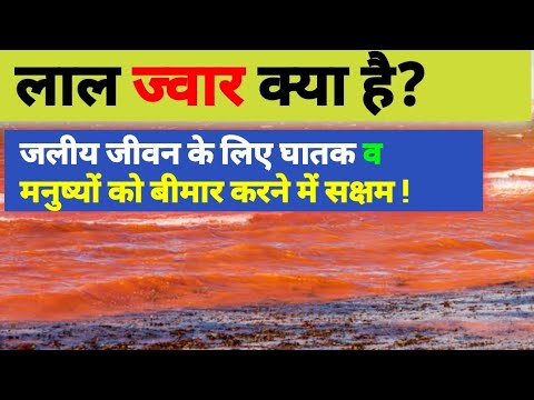 वीडियो: लाल ज्वार के कारण क्या हैं?