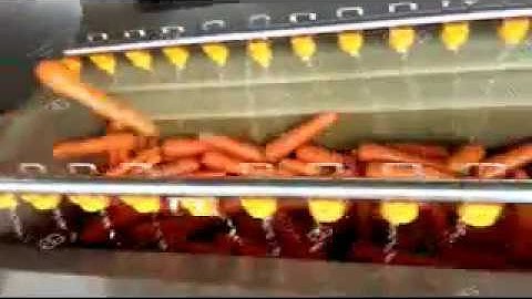 Video of Carrot Washing And Polishing Machine