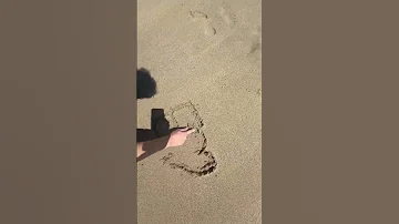 Dommage Que ça Se Soit Fini Comme ça Shorts Short InamreSS 