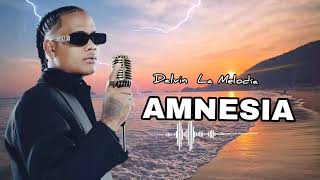 Dalvin La Melodía - Amnesia (Official Music Video)