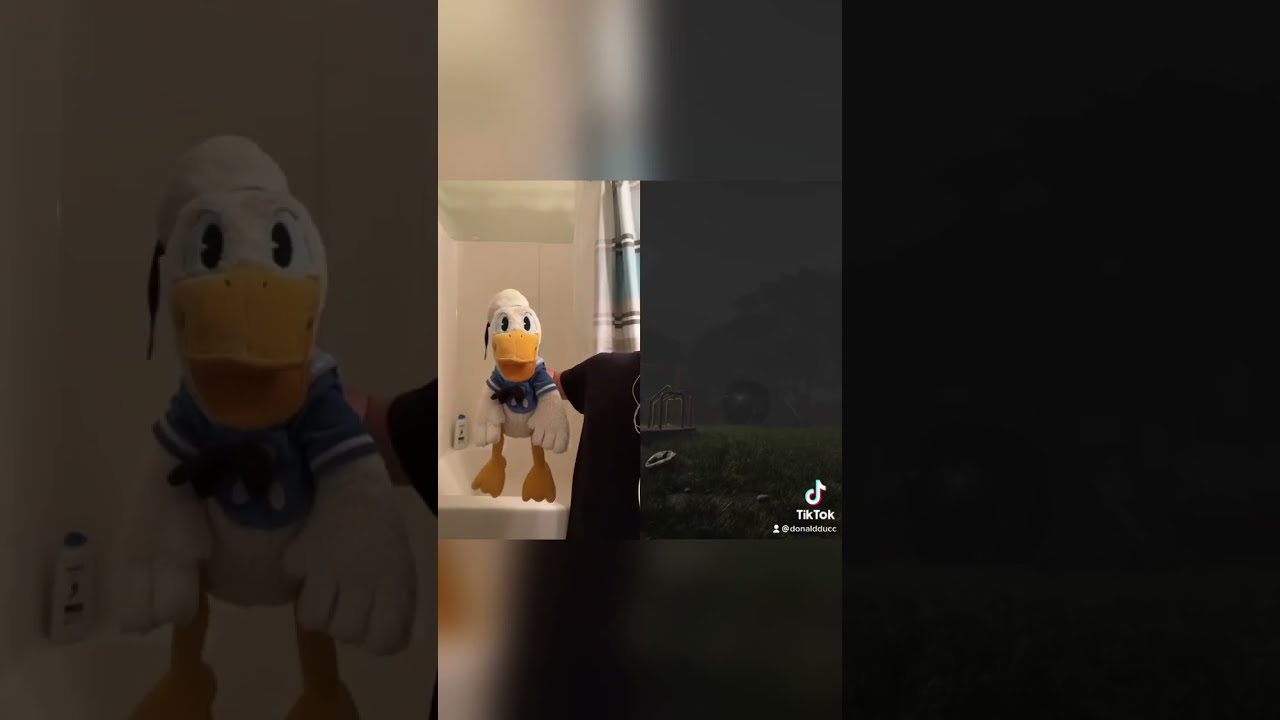 Donald Duck hates Chain Chomp #shorts - YouTube