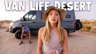 Van Life in the Desert | Joshua Tree National Park Campsites are INSANE