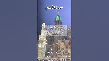 سورة الأنعام ٣٨ #قرآن #قران #quran #اكسبلور #قرآن_كريم #قرأن #قران_كريم