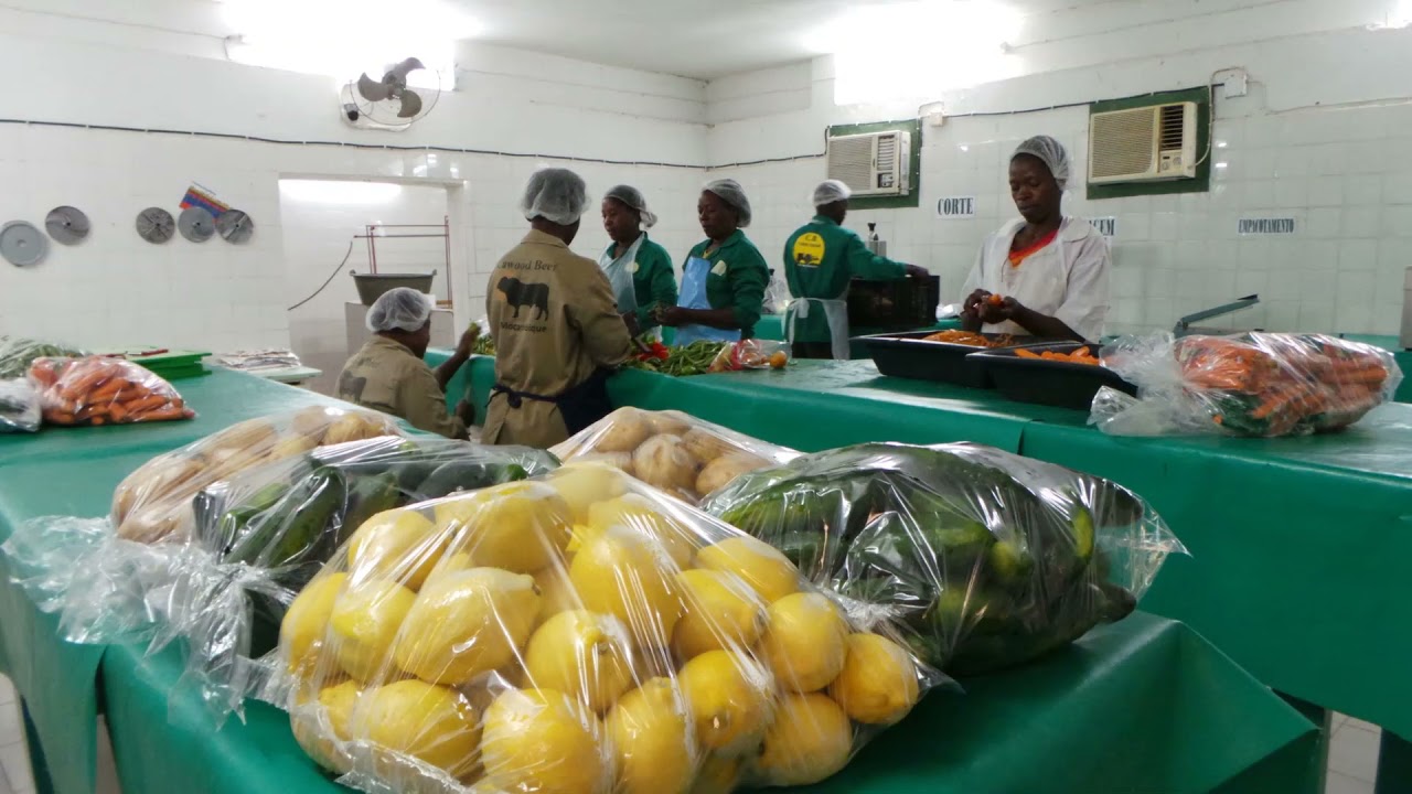 Still from CB Model Mozambique - Inclusive Agribusiness , organizing small growers into global value chains.