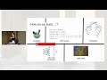 IRDL: An IR Definition Language for SSA Compilers