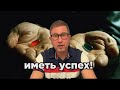 СУДЬБА, УСПЕХ, ВЕЗЕНИЕ, УДАЧА! Матрица когнитивных искажений