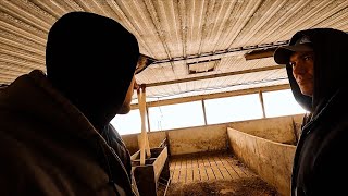 Our Abandoned Hog Barn Tour!