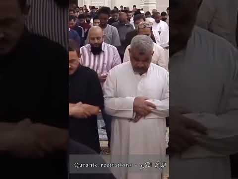 القارئ الشيخ احمد عبدالرازق نصر ماشاء الله Quran