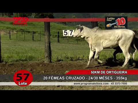 Lote 57