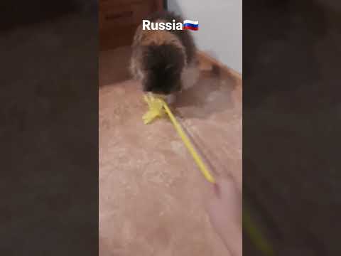 25 января 2023