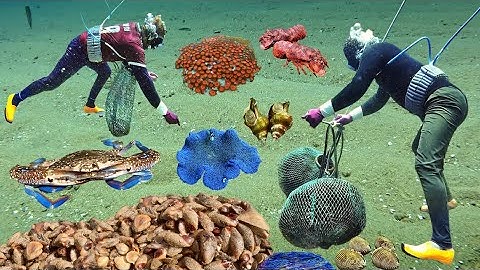 Hốt Trọn Ổ Hải Sản Ở Điểm Gần Bờ, Ghẹ Xanh Ốc Đỏ Sò Dương… | Cảnh 86