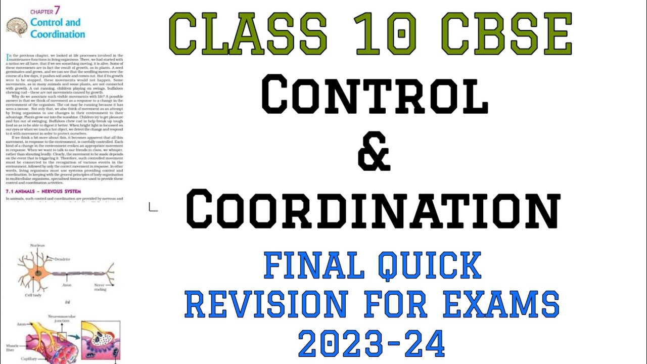 Control and coordination | class 10 biology cbse | control and ...