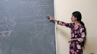 LECTURE ON   ANAL CANAL , BY  DR   POJA M | MBBS | TSMC