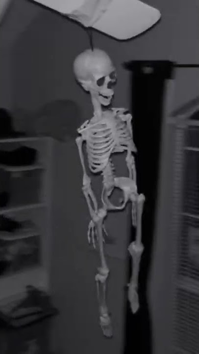 Skeleton on fan meme remake