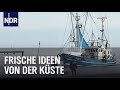 Halbinsel Butjadingen: Unterwegs zwischen Jade und Weser  | Nordseereport | NDR Doku