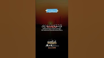 تلاوة مباركة بصوت #ياسر_الدوسري #quran #اكسبلور #القران_الكريم