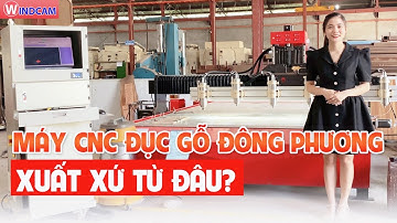 MÁY CNC ĐỤC GỖ ĐÔNG PHƯƠNG XUẤT XỨ TỪ ĐÂU ?| CNC ĐÔNG PHƯƠNG