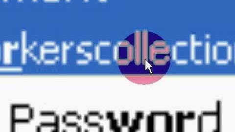 zoom in and zoom out using camstudio