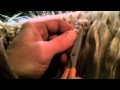 How To Unbraid A Mane How To Unbraid A Mane