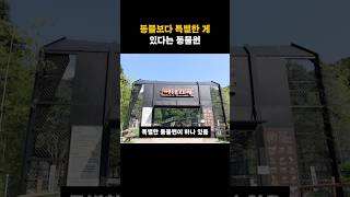 동물보다 특별한 게 있다는 동물원