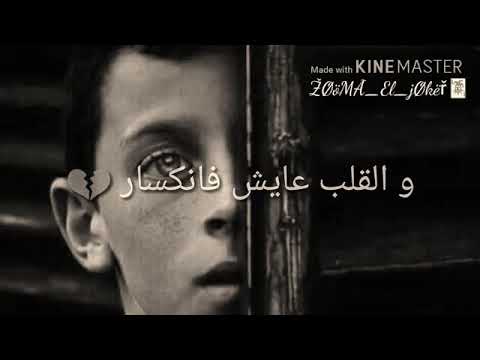 بجد راحت مش هزار محمد ابو بكر