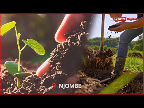 ELIMU YA UDONGO MBOLEA INAVYOWAGUSA WAKULIMA NJOMBE