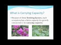Limiting Factors and Carrying Capacity in Ecosystems