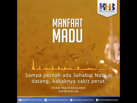 Obat Asam Lambung Dalam Al Quran Obat Asam Lambung Dalam Al Quran