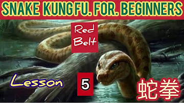 learning kung fu no matter where / snake kung fu for beginners lesson 5 / 蛇拳