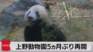 上野動物園５ヵ月ぶりの再開に行列　シンシンに妊娠兆候も（2021年6月4日）