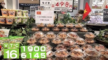 Hành trình đưa vải thiều Việt sang thị trường Nhật | VTC16
