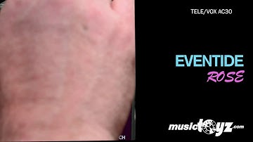 Eventide Rose Modulated Guitar Delay Pedal