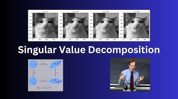 Singular Value Decomposition | Overview and Computation