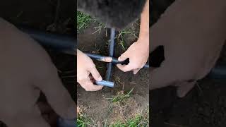 Irrigation line install #shorts