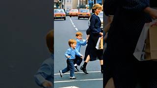 Harry & Williams Tender Memories