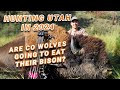 Hunting utah in 2024 co wolves eating their bison draw technology and hunting with jace guymon