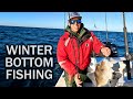 Winter bottom fishing  triggerfish cobia snapper  we even made some friends out there