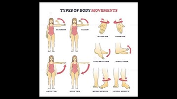 Types of body movements#humananatomy#simplenursing#nclexnursing#shortsvideoviral#ytshort#viral#mbbsl
