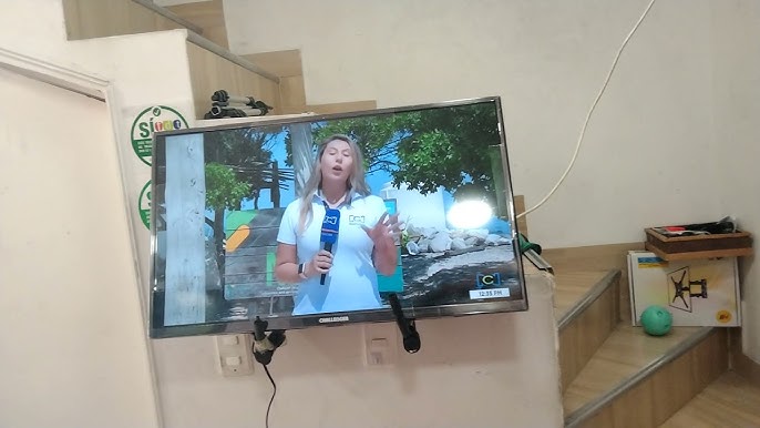 Televisor CHALLENGER 24 Pulgadas LED Hd Básico 24H2 T2