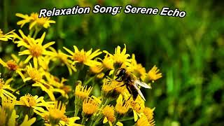 Relaxation Song | Serene Echo | The Healing Power