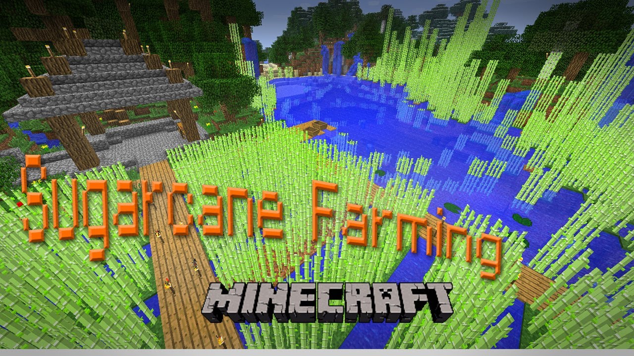 Super Awesome Minecraft Episode #7 (How to Grow Sugar Cane ...
