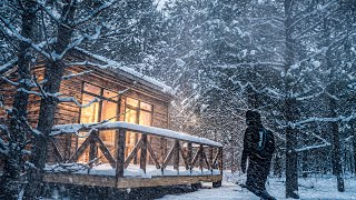 When the BLIZZARD Hit, This CABIN Became My Lifeline
