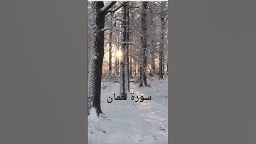 سورة لقمان  #القران الكريم