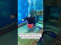 Worlds deepest pool captured with the Insta360 X3