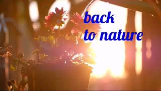 Relaxation_BACK TO NATURE Relaxation Music41