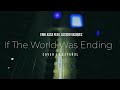 If The World Was Ending COVER EN ESPAÑOL (Erik Asca feat. Lucero Vasquez)