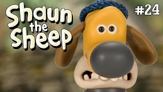Bitzers Basic Training Shaun The Sheep Season 2 Full Episode