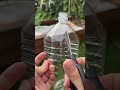 ペットボトルプランターの作り方解説するよ #家庭菜園 #家庭菜園初心者